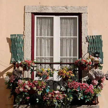 Séjour chez l'habitant Arroios De Paixao *